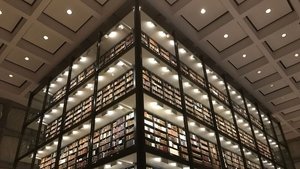 Palladio: The Power Of Architecture backdrop