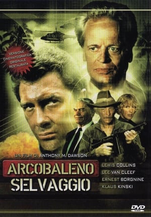 Poster Arcobaleno selvaggio 1984