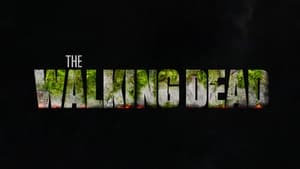 The Walking Dead Season 11 Episode 13