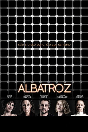 Albatroz