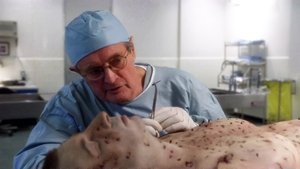 NCIS: 8×15