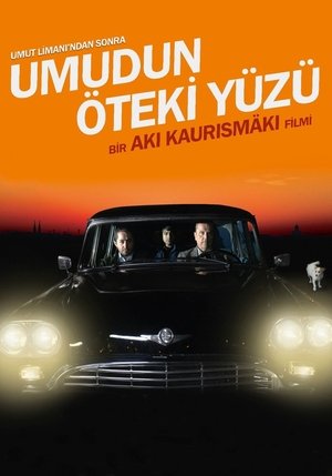 Umudun Öteki Yüzü 2017