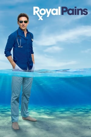 Royal Pains poster