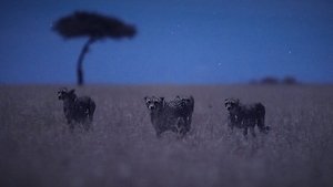 Night on Earth Moonlit Plains