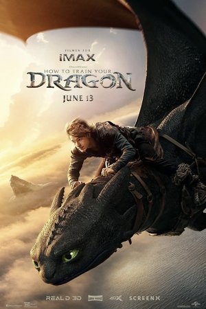 poster How to Train Your Dragon