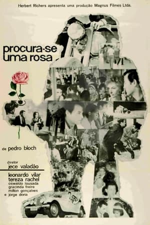 Image Procura-se Uma Rosa