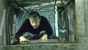 Il ritorno (2003)