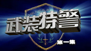 武装特警