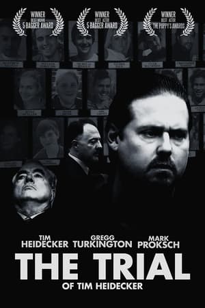 Poster The Trial (2017)