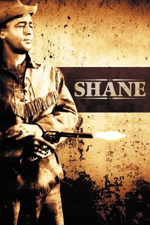 poster Shane