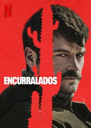 Assistir Encurralados Online Grátis