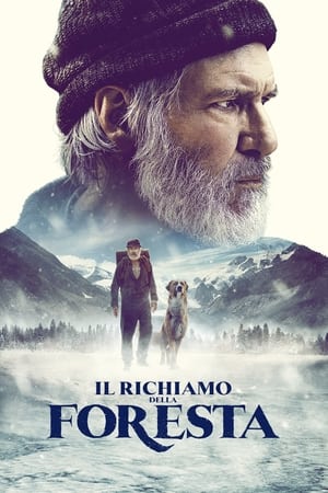 Poster Il richiamo della foresta 2020