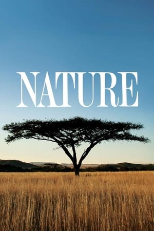 Nature - Show poster