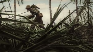 World War II: From the Frontlines | TV Show | Where to Watch?