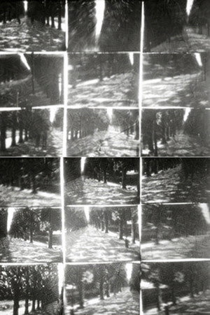 Simultanés/circostances 2. Jardin de plantes
