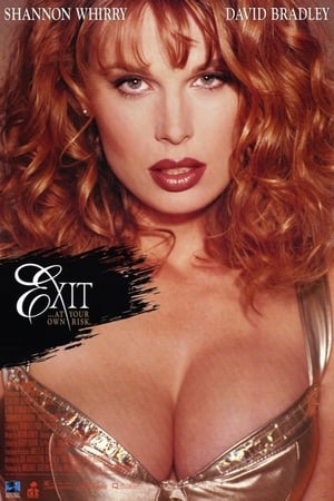 Poster Exit (1996)
