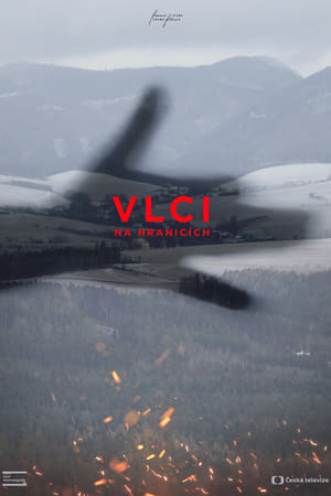 Poster Vlci na hranicích 2021