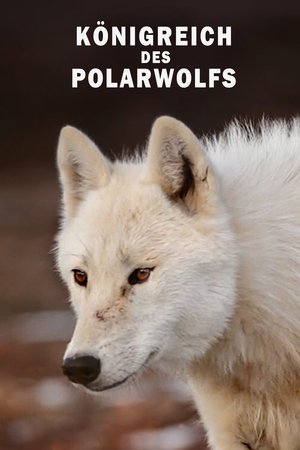 Image Königreich des Polarwolfs