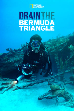 Poster Drain the Bermuda Triangle (2014)