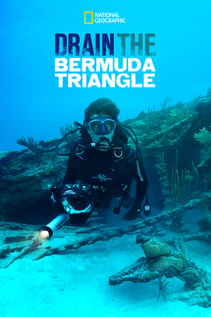 Poster Odkrývání Bermudského trojúhelníku 2014