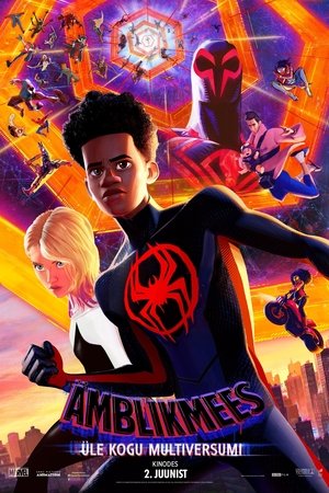 poster Spider-Man: Across the Spider-Verse