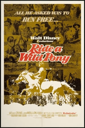 Poster Ride a Wild Pony (1975)