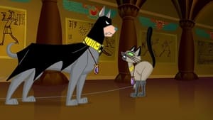 Image Bat Hound's Bad Luck / Circus Of The Dog Stars
