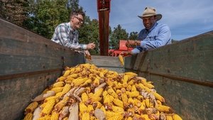 Breaking Bobby Bones Yellow Gold