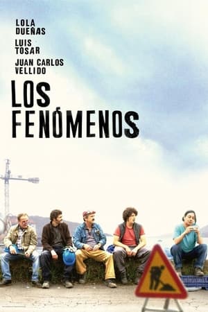 Poster Los fenómenos 2014
