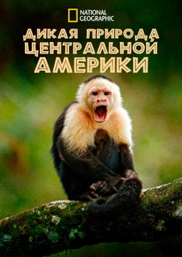 Image Дикая природа Центральной Америки
