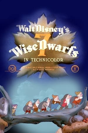 7 Wise Dwarfs film complet