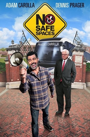 No Safe Spaces poster