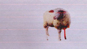 3 Lambs still 7