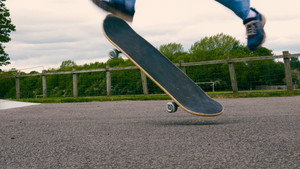 Board