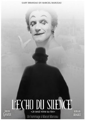 Affiche de L'Echo du silence