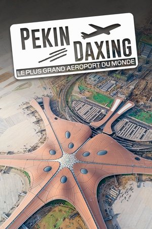 Poster Pékin Daxing : Le Plus Grand Aéroport du monde 2022