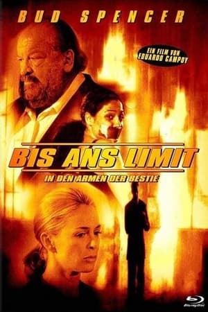 Poster To the Limit 1997