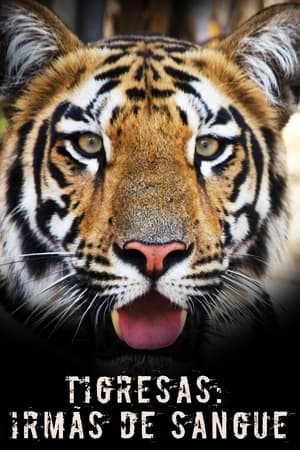 Poster Tigress Blood 2014