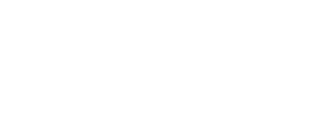 Shanghai Picked Flowers — Logos 2