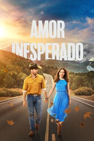 Amor Inesperado - Poster