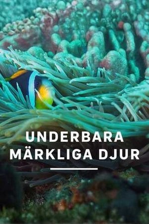 Underbara märkliga djur (2025)