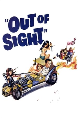 Poster Out of Sight (1966)