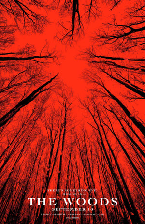 Neverending Night: The Making of Blair Witch poster