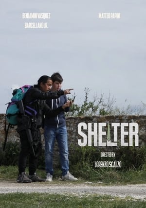 Shelter 2022