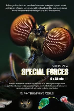 Poster Animal Special Forces 2022