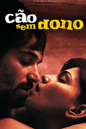 Poster Stray Dog 2007