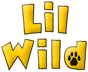 Lil Wild
