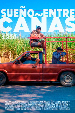 Sueño entre Cañas