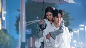 Wenderella’s Diary ( 2023 )