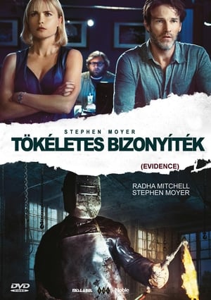 Poster Tökéletes bizonyíték 2013